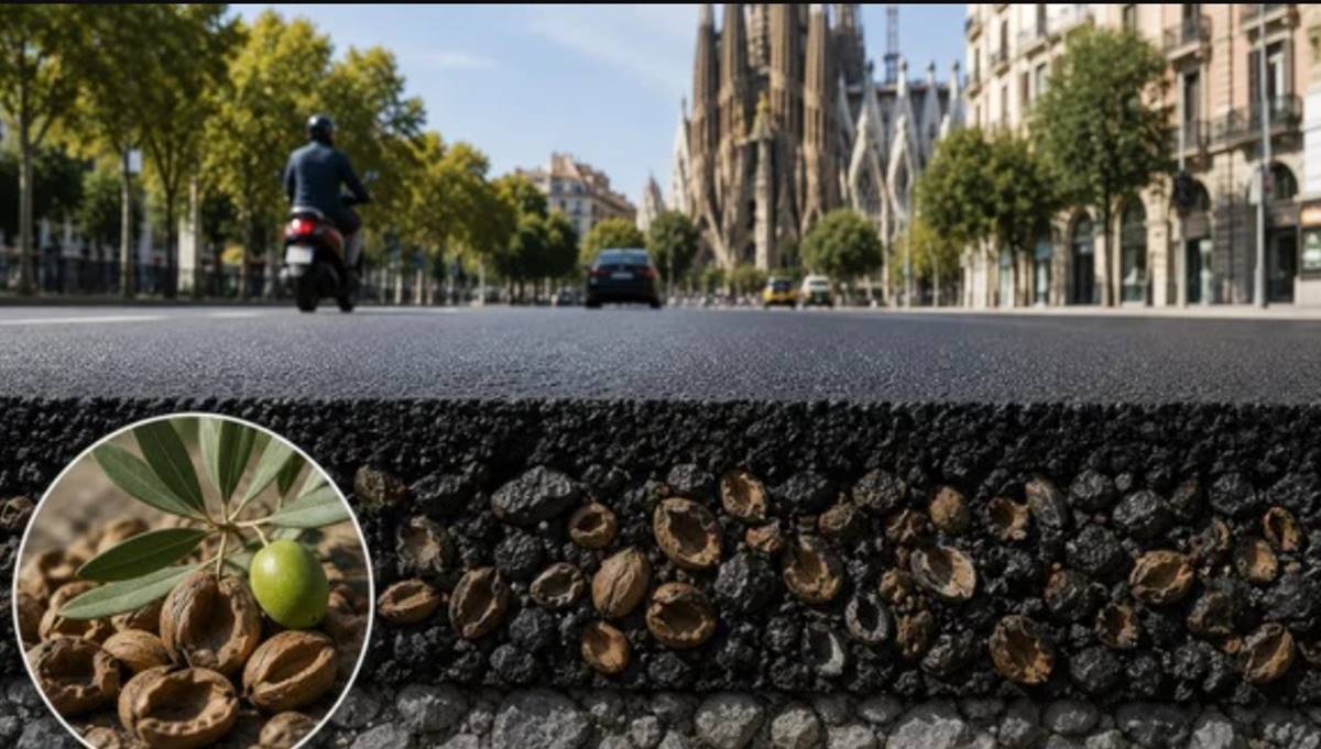 Barcelona prueba un asfalto con huesos de aceituna capaz de almacenar CO2 bajo las carreteras