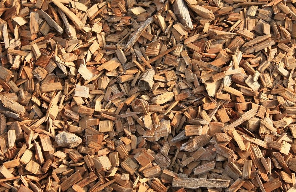 El invento que podría cambiar la energía solar para siempre: madera que almacena electricidad