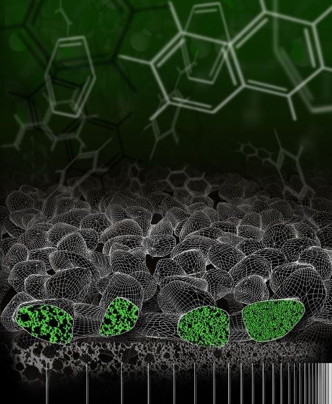 Baterías. ¡Más silicio! Nuevo material para ánodos de EnerG2 