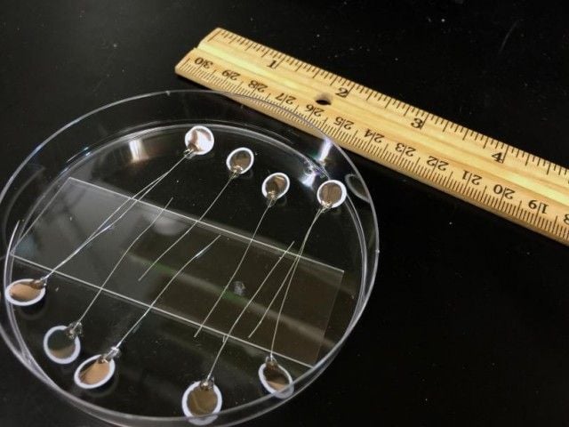 batterymembraneosu