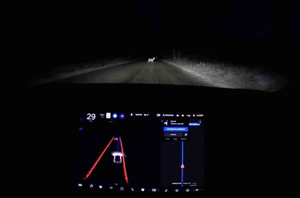 Así evita la conducción autónoma de Tesla a un ciervo en una carretera de tierra sin señalización (vídeo)