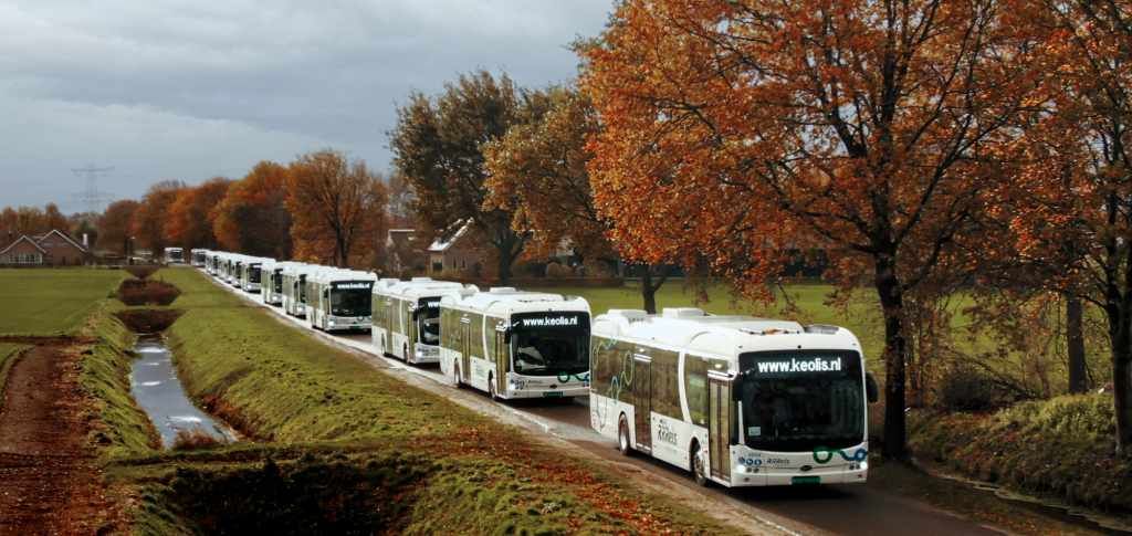 BYD hace su mayor entrega de autobuses eléctricos en Europa con 246 unidades en Países Bajos