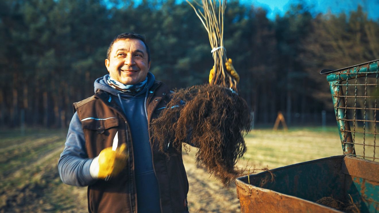 La reforestación de Tesla está en marcha y su nuevo bosque no será un monocultivo (Vídeo)