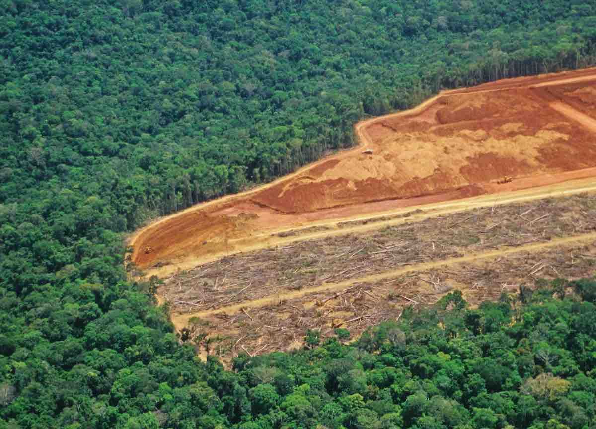 La política de biocombustibles de la UE impulsa la destrucción de la selva amazónica y otros ecosistemas