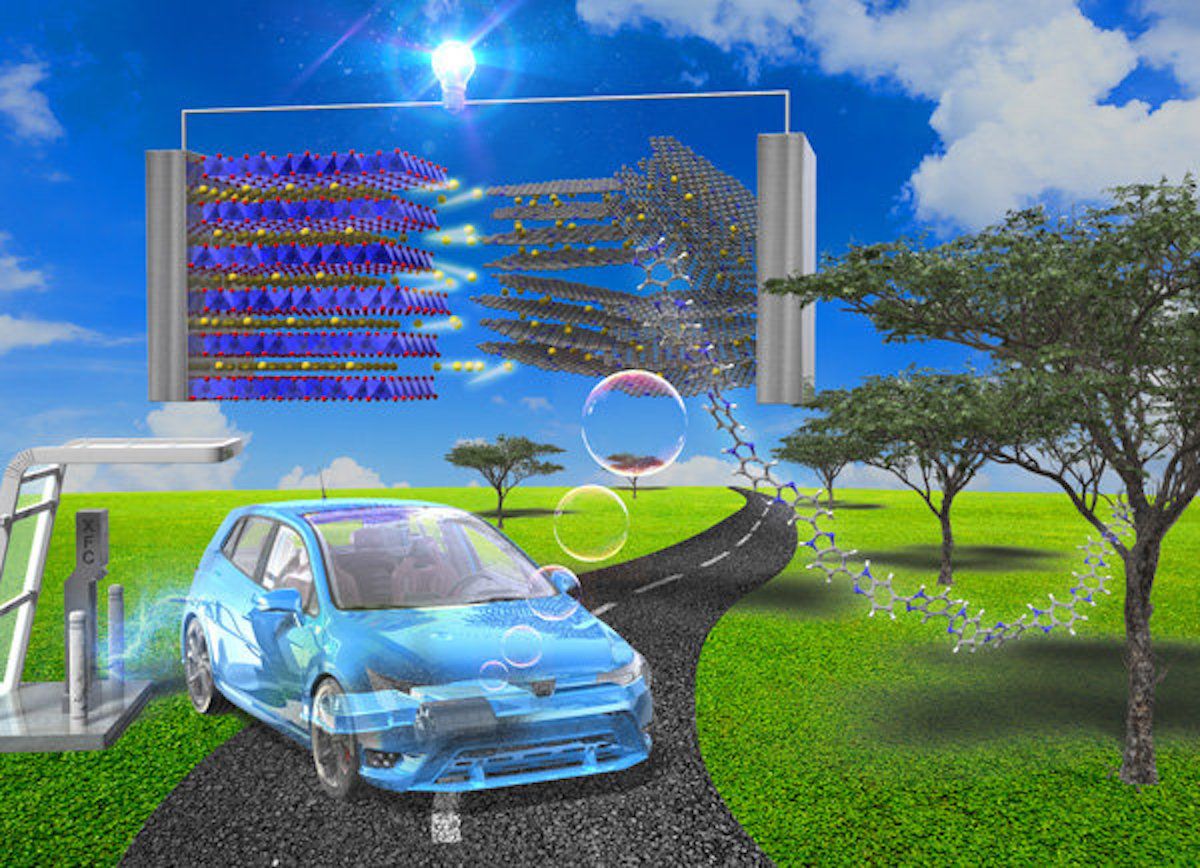 Esta batería biológica multiplica la velocidad de carga del coche eléctrico sin afectar a su vida útil