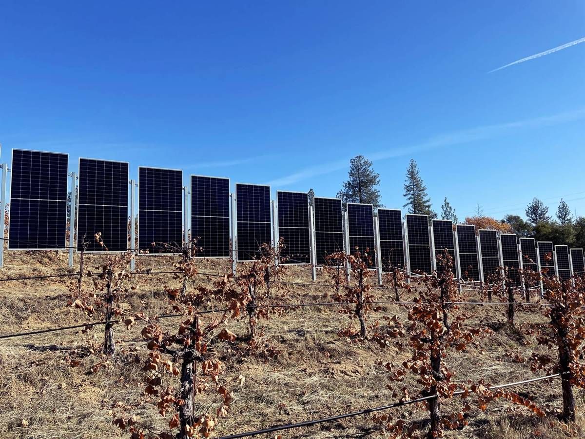 La fotovoltaica vertical, una solución perfecta para la convivencia de la solar con la agricultura