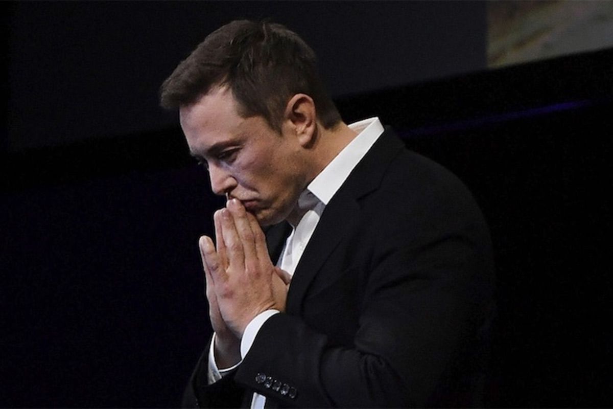 El apoyo publico de Elon Musk a Donald Trump hunde la popularidad de Tesla entre votantes demócratas y republicanos